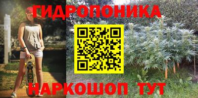 спиды Бийск