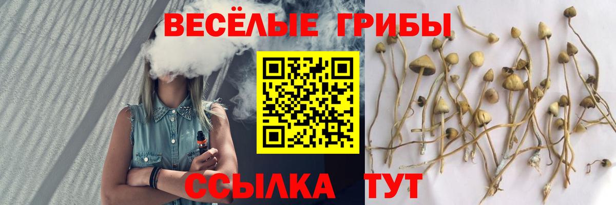 Псилоцибиновые грибы ЛСД  Галлюциногенные грибы Psilocybe  Вход с VPN  Камень-на-Оби 