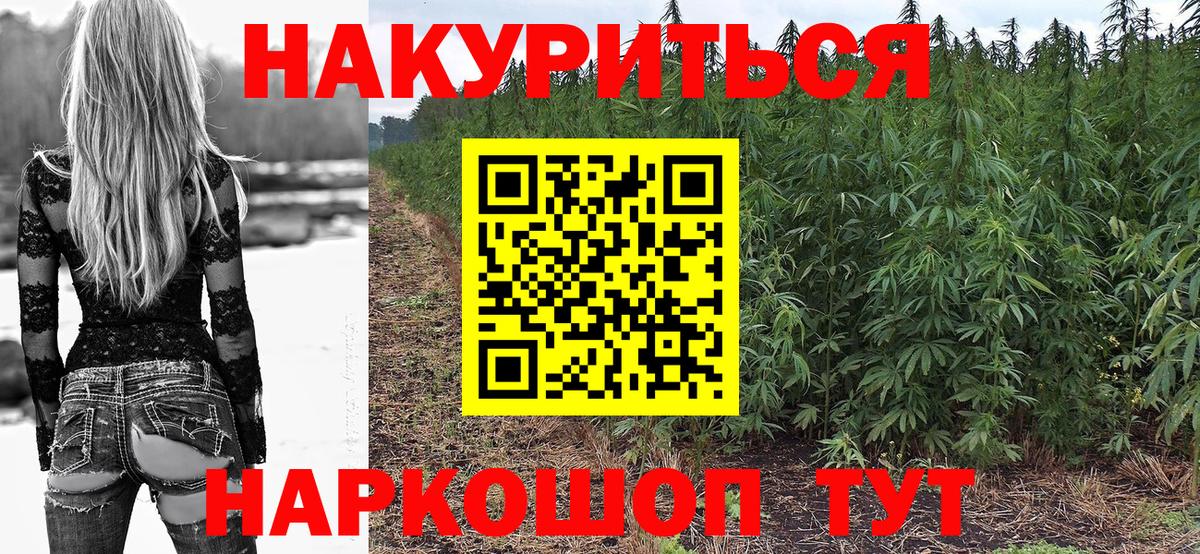 ГАШ Камень-на-Оби